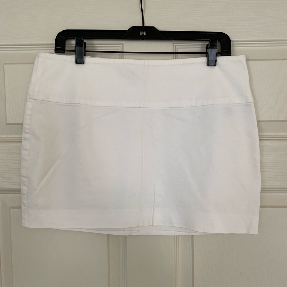 Express design studio skirt